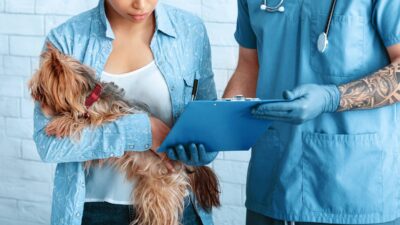 Female dog owner signing pet surgery consent form at vet clinic, closeup Female dog owner signing pet surgery consent form at vet clinic, closeup. Panorama