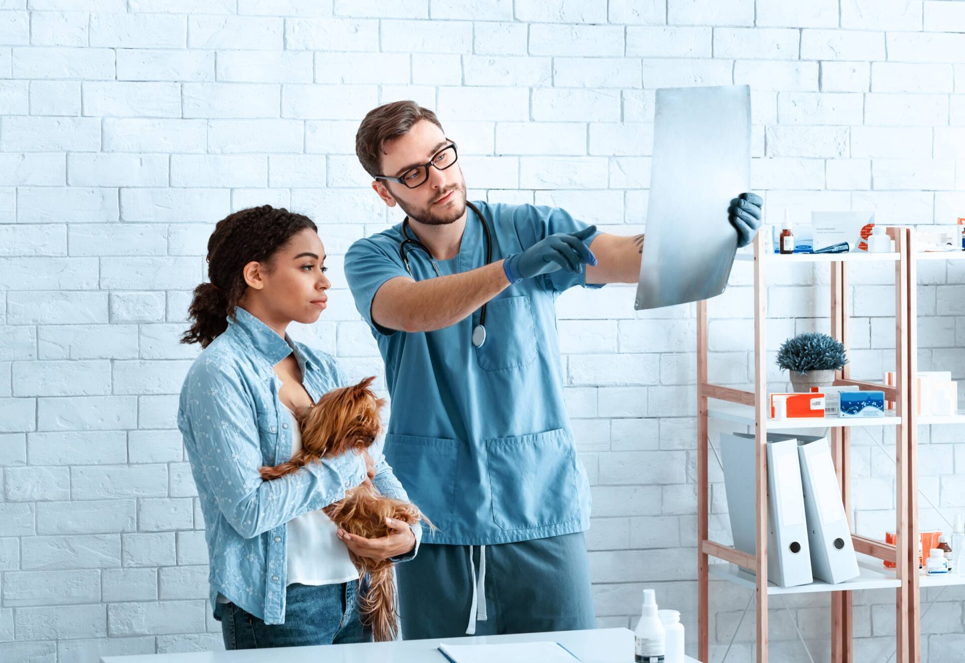 Bilgisayarlı Röntgen, veteriner tıbbında hayvanların iç yapılarının görüntülenmesinde oldukça önemli bir araçtır. Veteriner kliniğimizde sunulan bu hizmet, hayvanların sağlık sorunlarının teşhisinde ve tedavisinde kritik bir rol oynar.