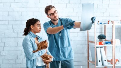 Veterinarian doctor and pet owner discussing xray in clinic Veterinarian doctor and pet owner discussing xray in animal clinic