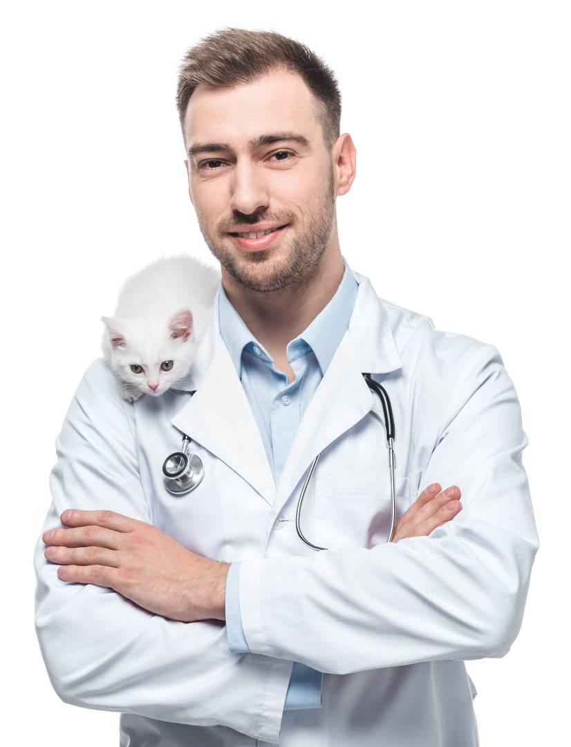smiling male veterinarian with kitten isolated on white background